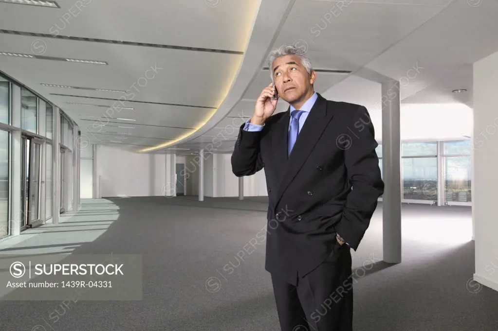 Businessman using cellular telephone