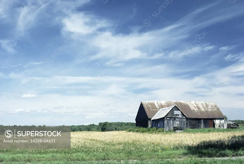 Abandoned barn and field