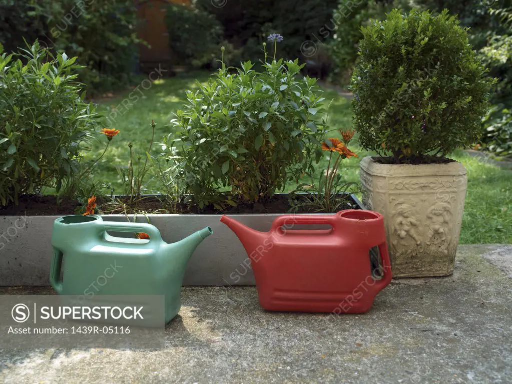 A pair of watering cans in garden