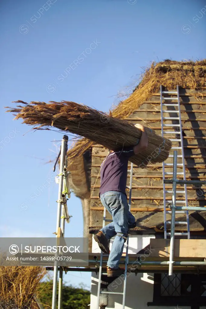 Thatcher at work on roof