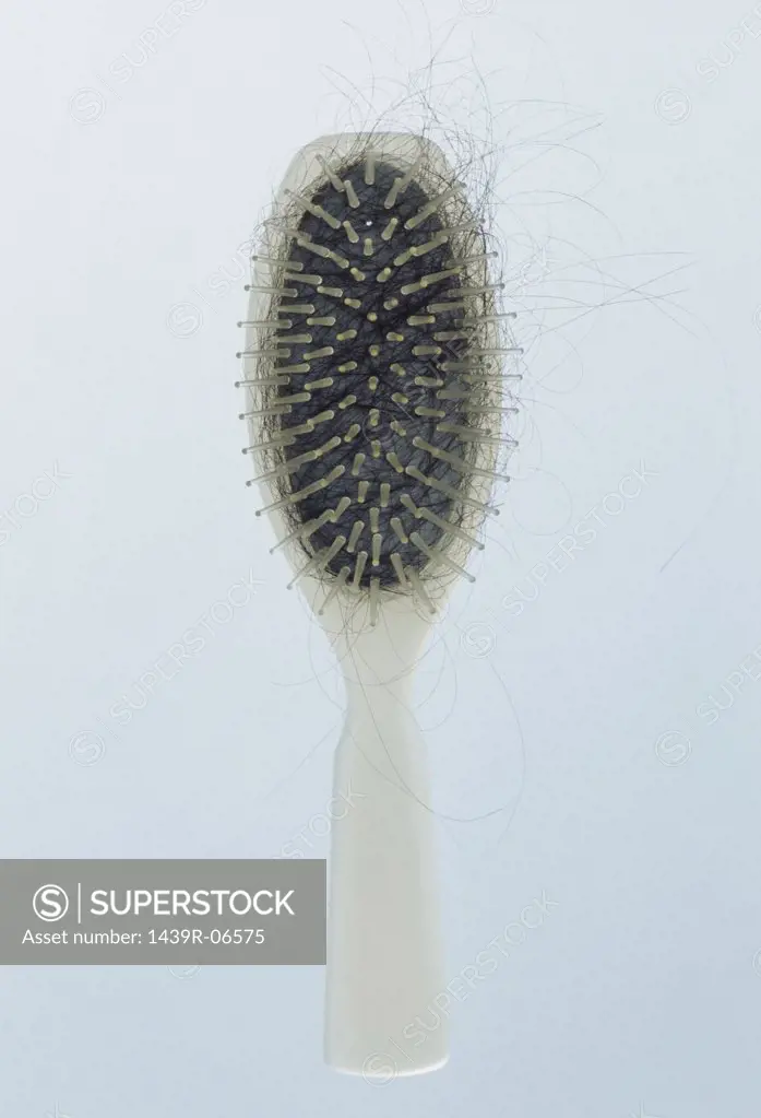 Hairbrush with hair on