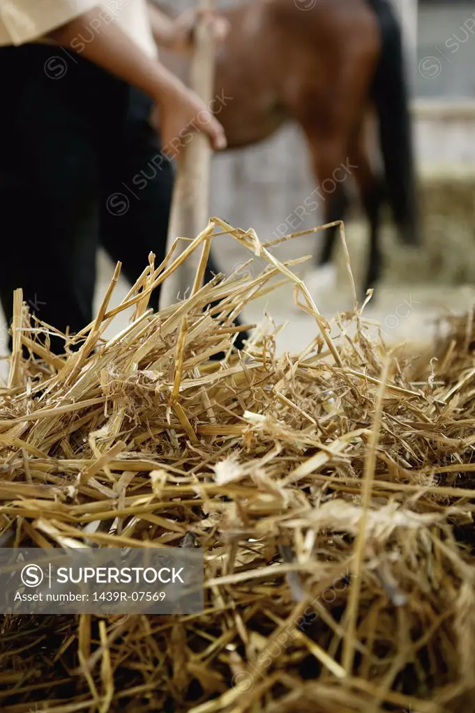 Person with hay on a pitchfork