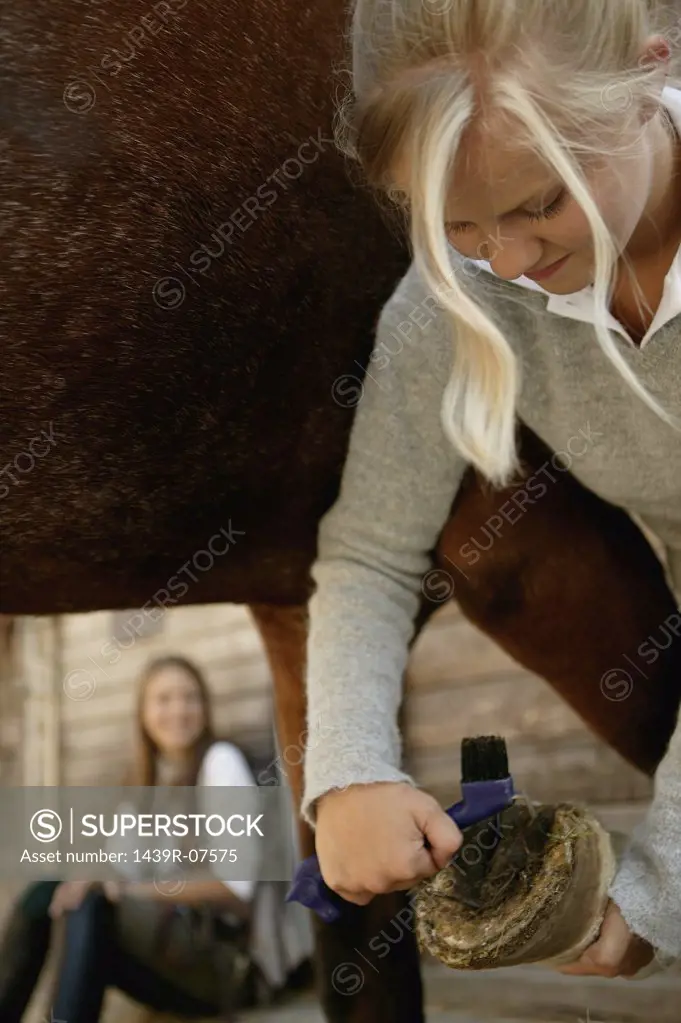Young woman cleaning horse's hoof