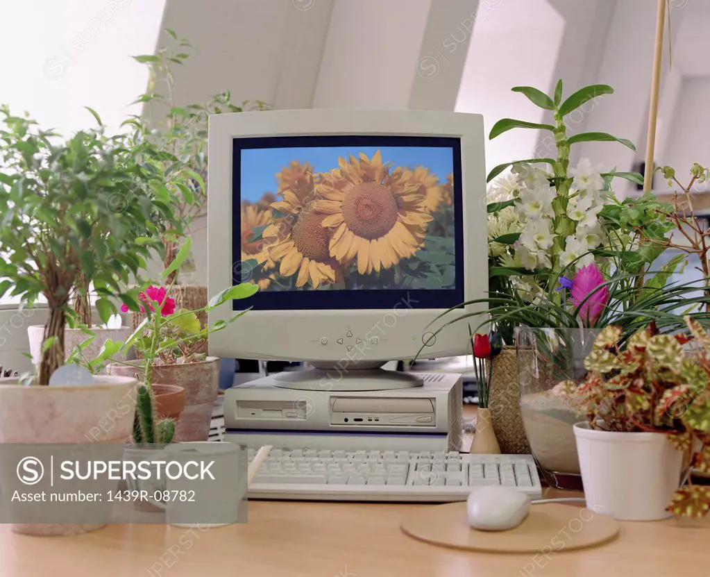 Computer with plants next to it