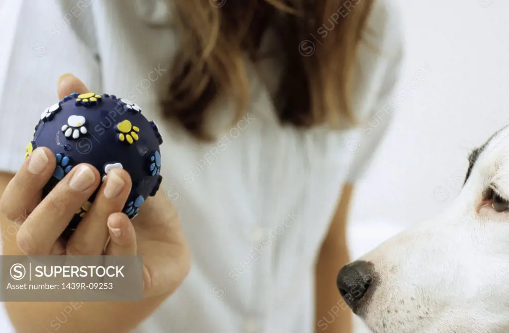 Dog and lady owner with ball