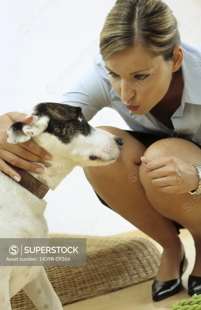 Dog with affectionate owner