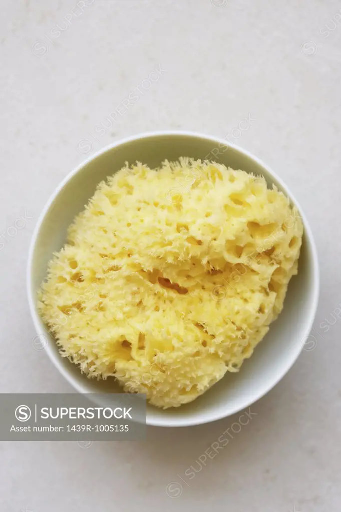 Sponge in a bowl