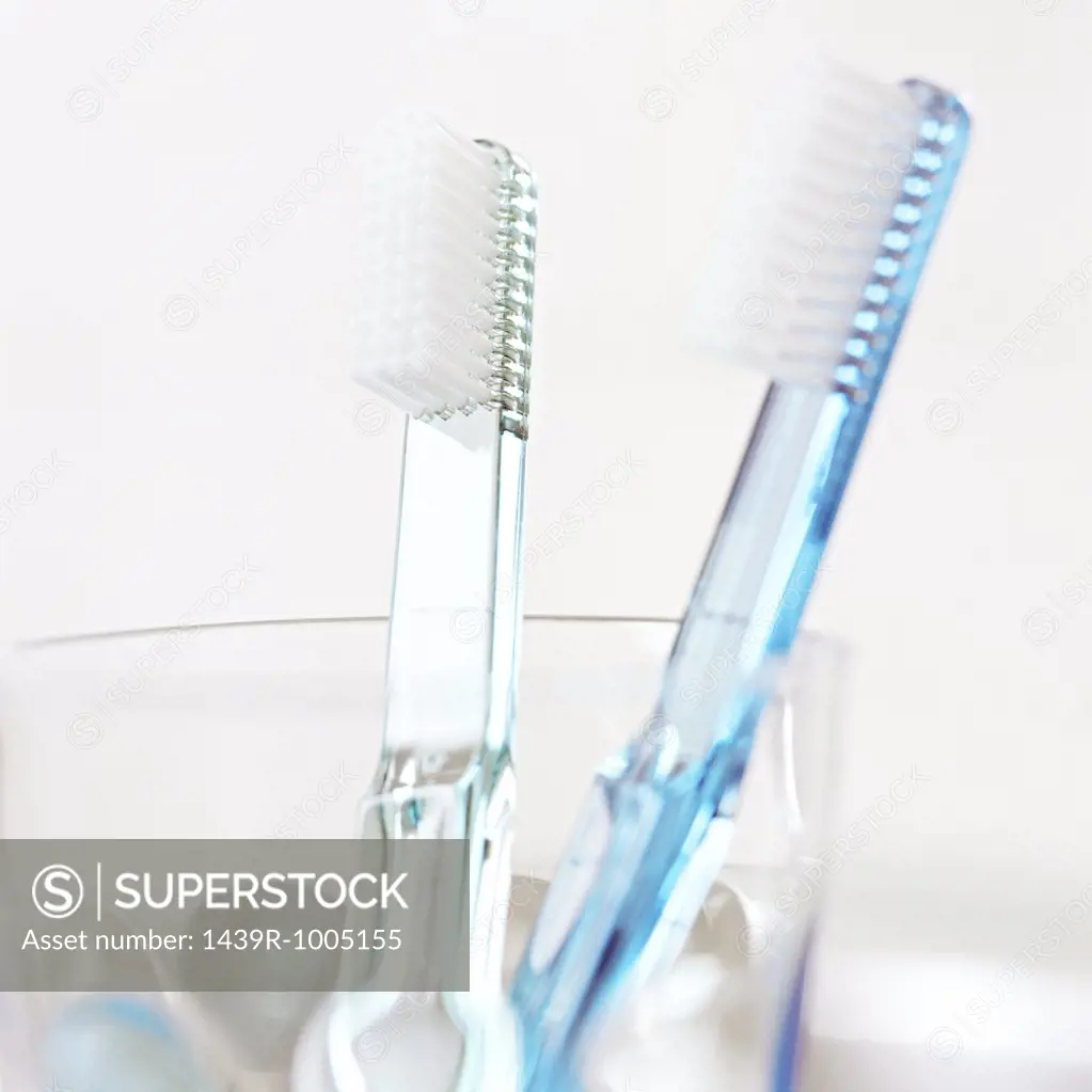 Two toothbrushes in a beaker