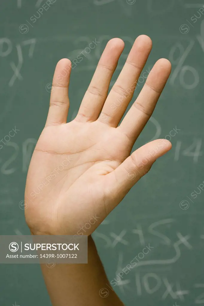 Student with hand raised
