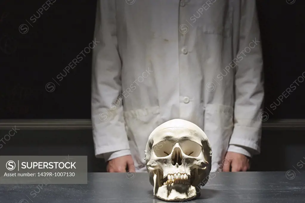 Student stood with a human skull