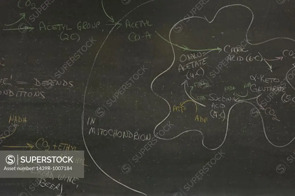 Science lesson written on a blackboard
