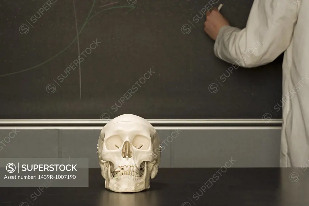 Human skull on a classroom desk