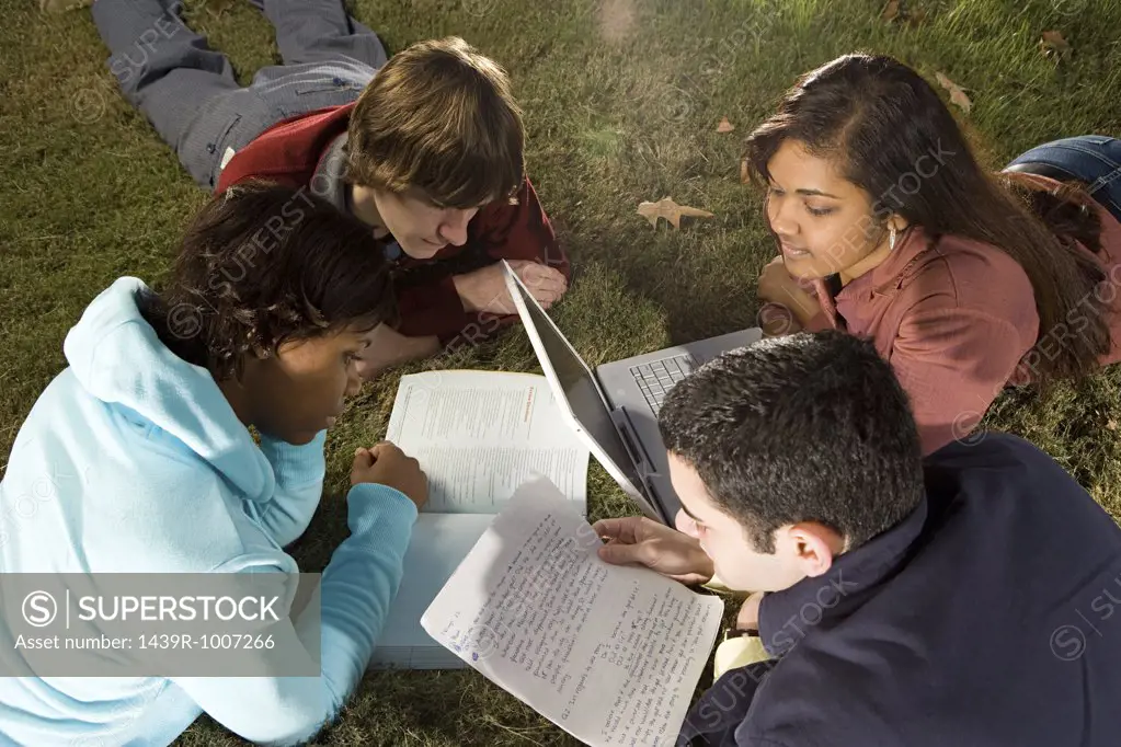 Four students studying outdoors