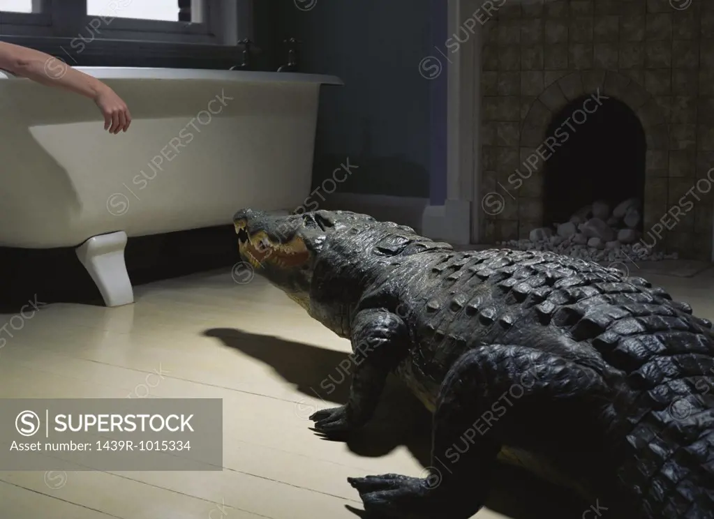 Crocodile in the bathroom