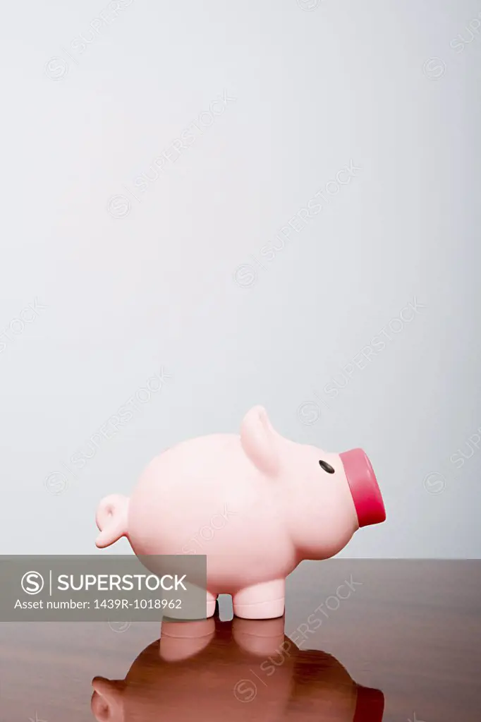 Piggy bank