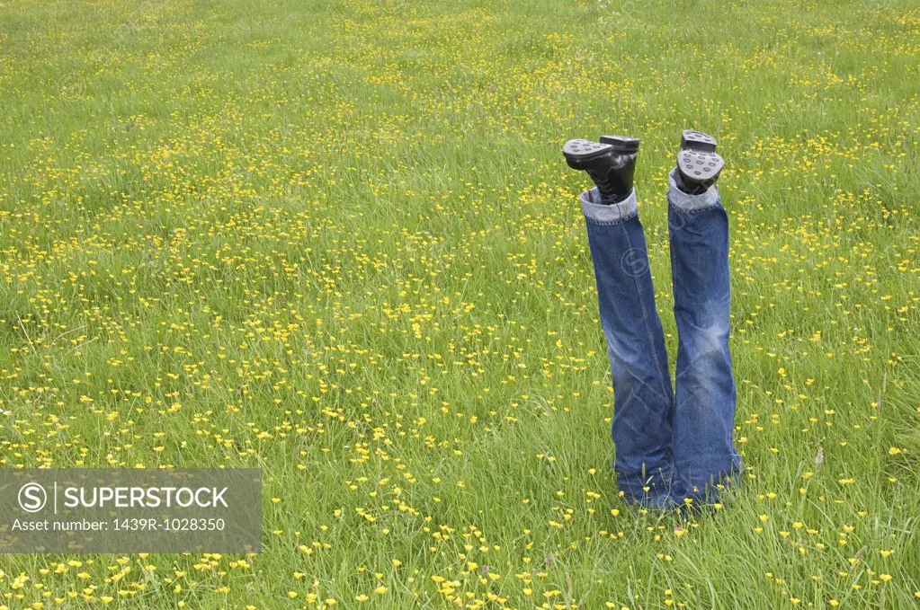 Mannequin legs in a field