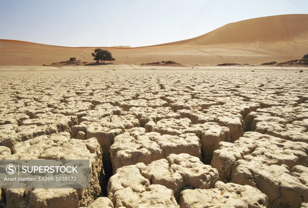Cracked soil in desert
