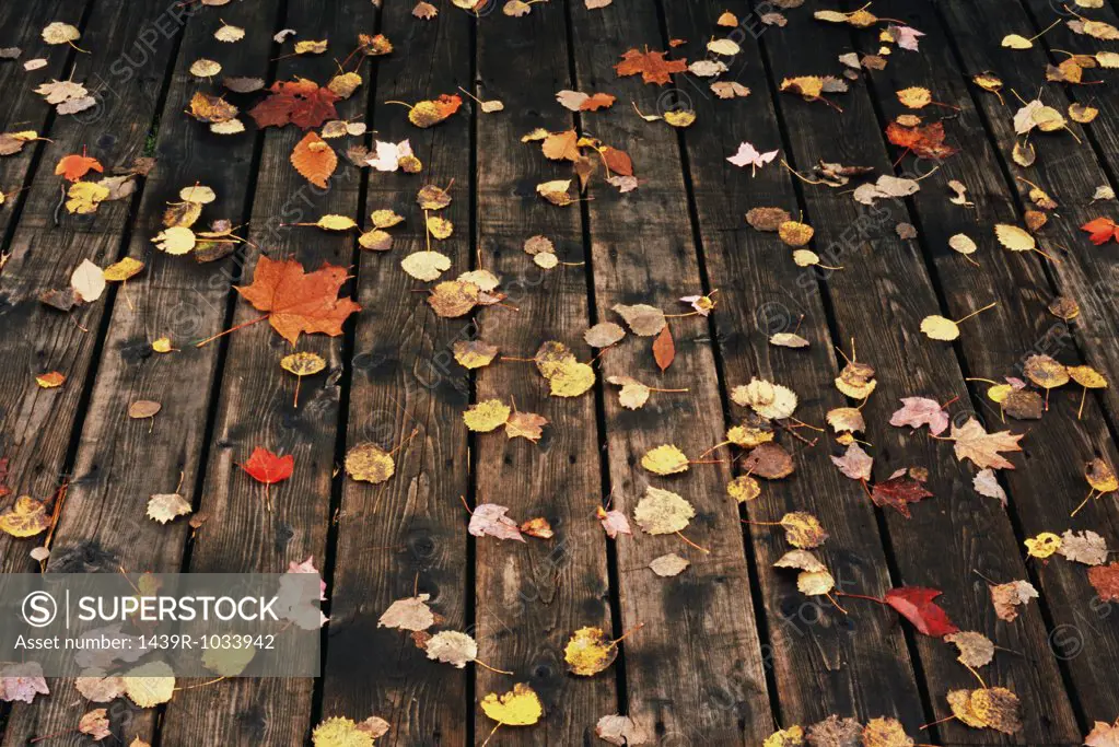 Fallen leaves on a deck