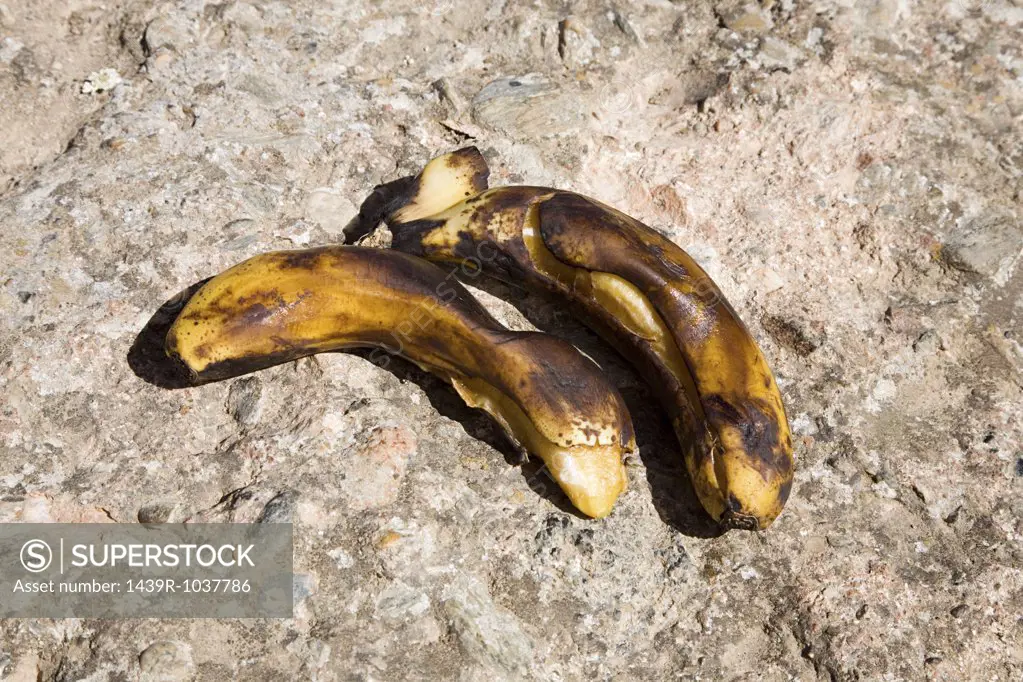 Two rotting bananas