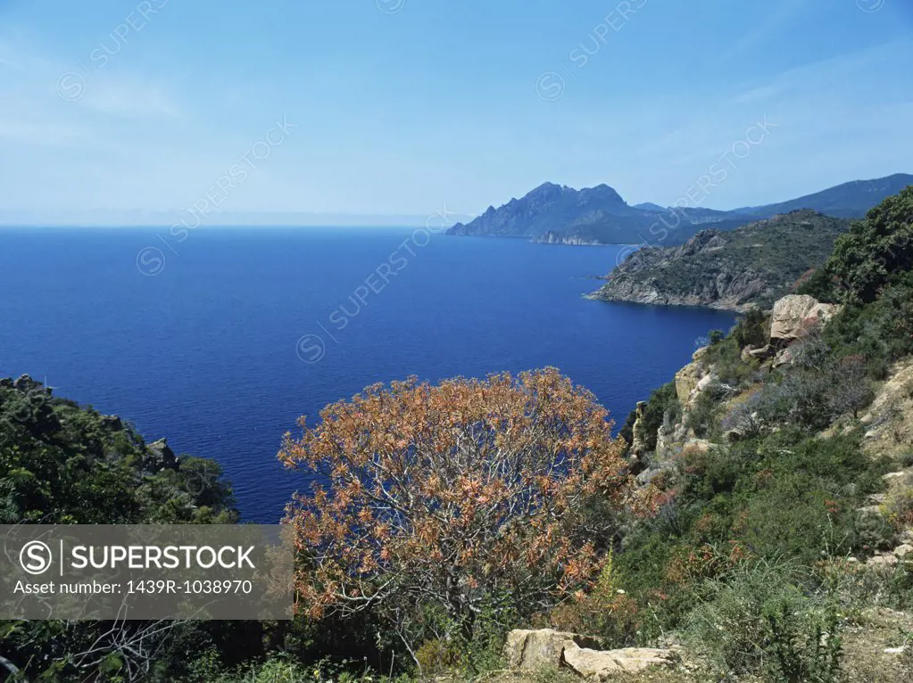 Corsican coastline 