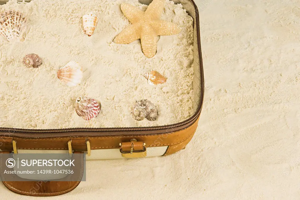 Starfish shells and sand in a suitcase