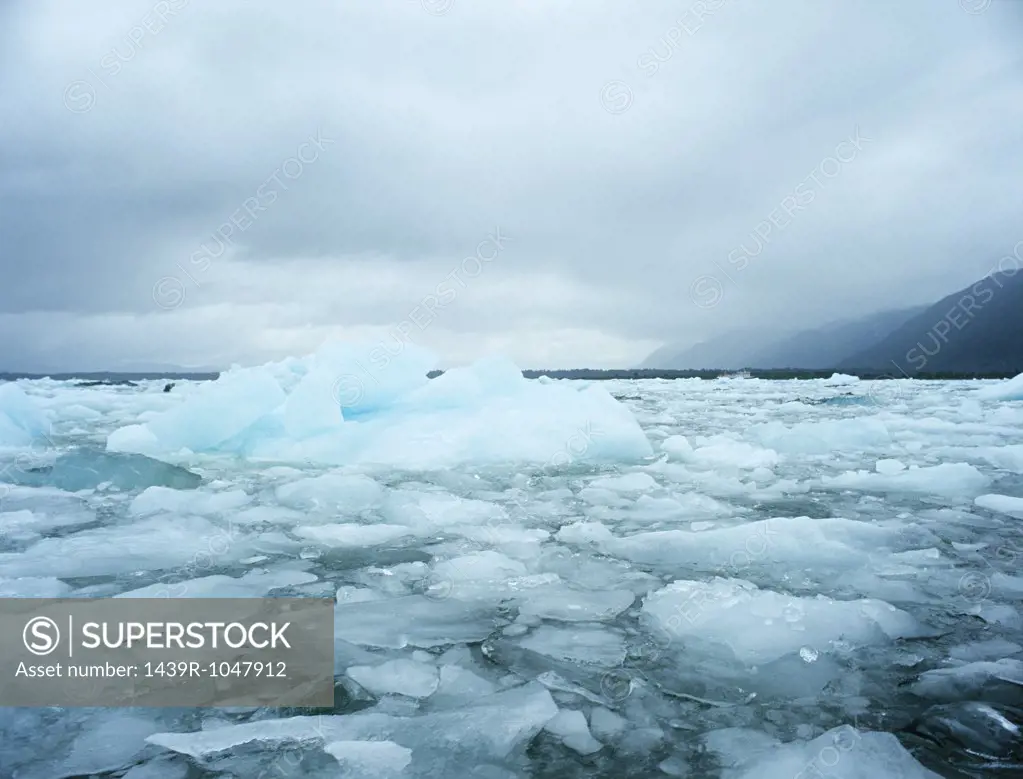 Icebergs laguna san rafael national park