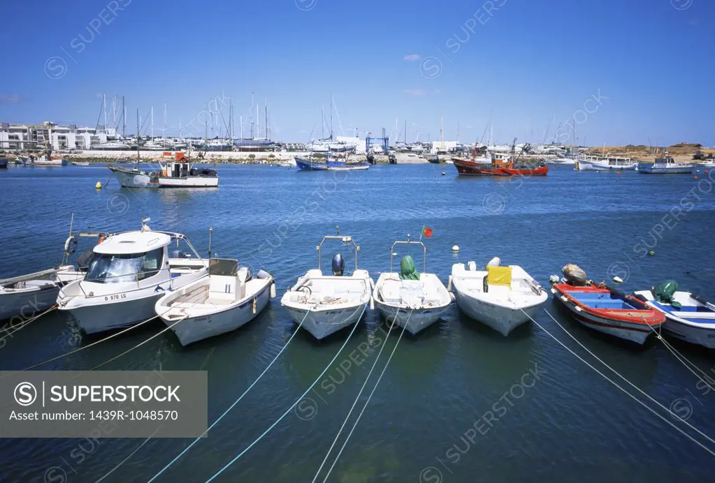 Boats in a row