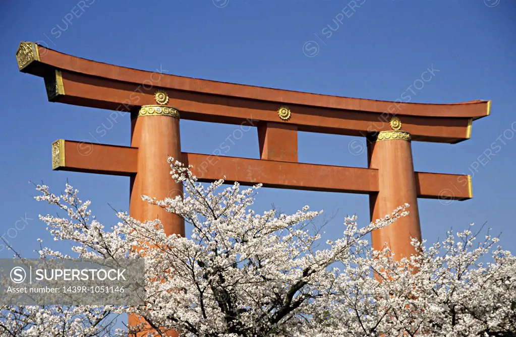 A torii at yasaka shrine