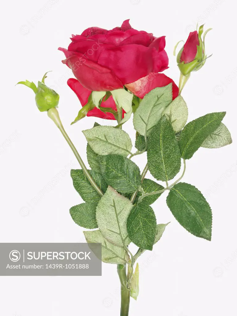 Artificial rose