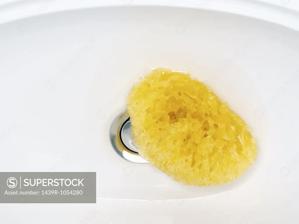 Sponge in a sink