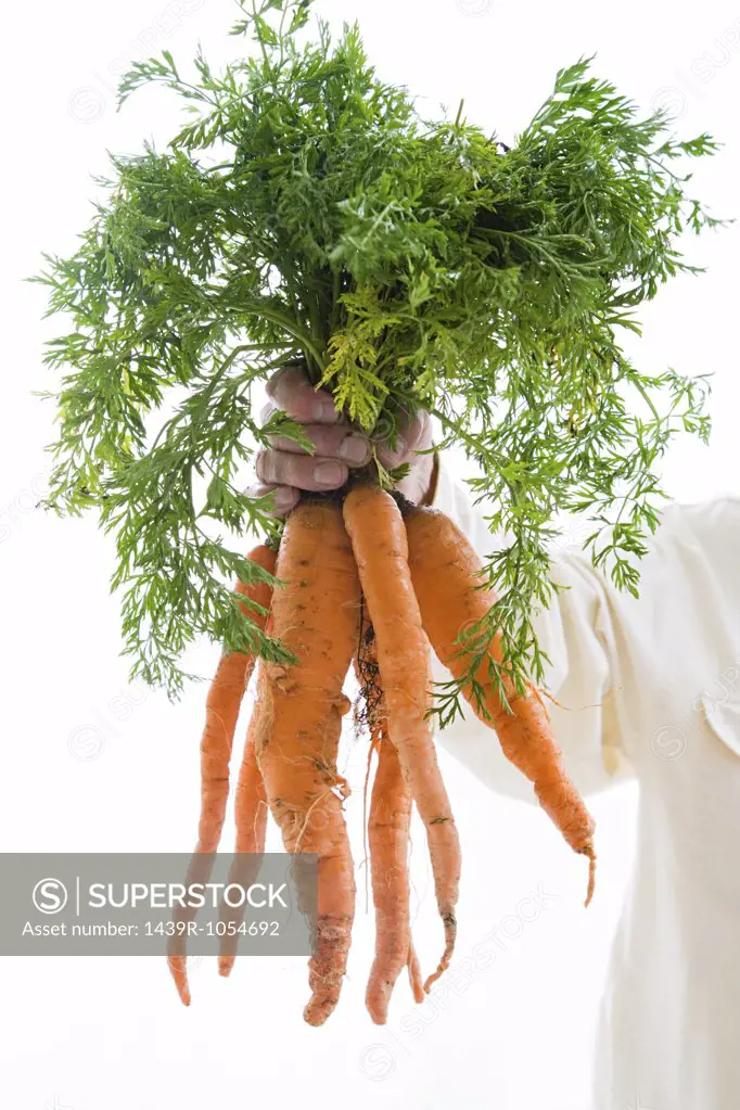 Man holding bunch of carrots