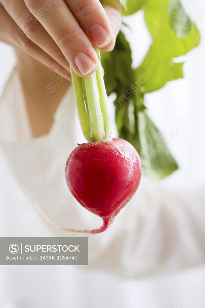 Woman holding a radish