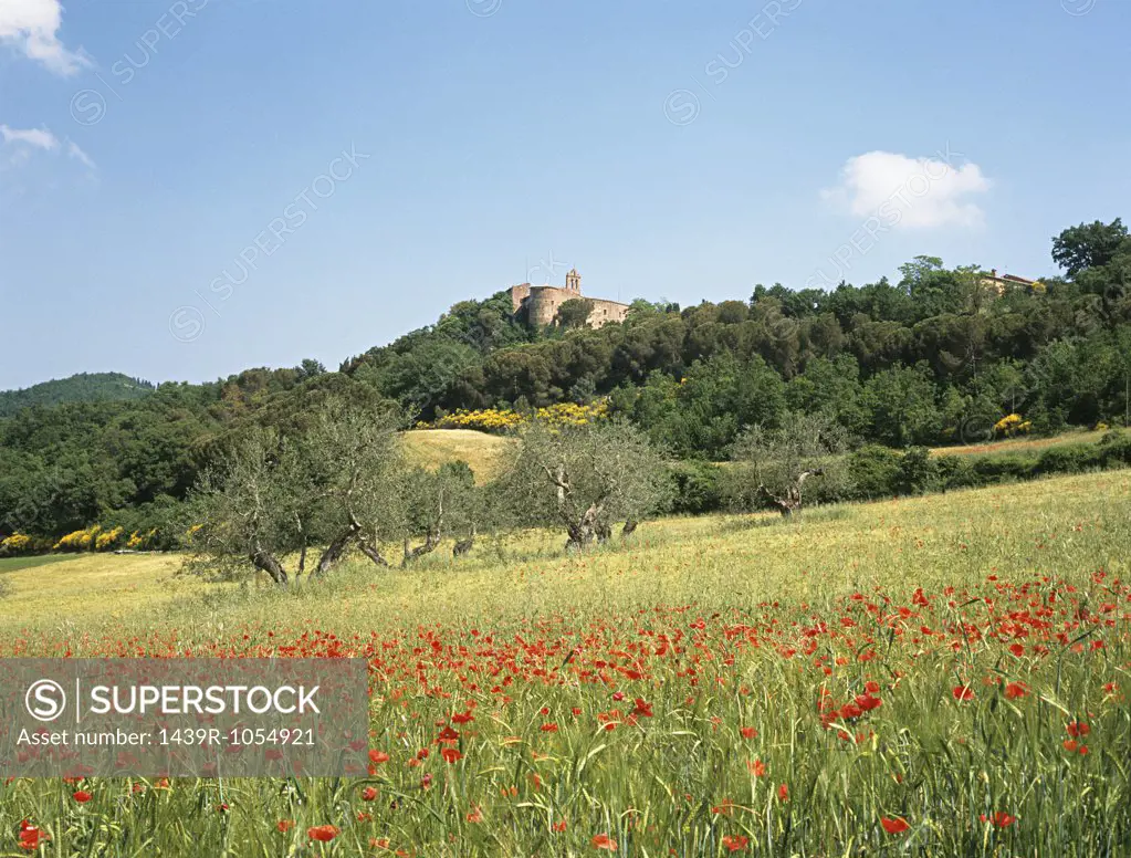 Castle at la foce tuscany