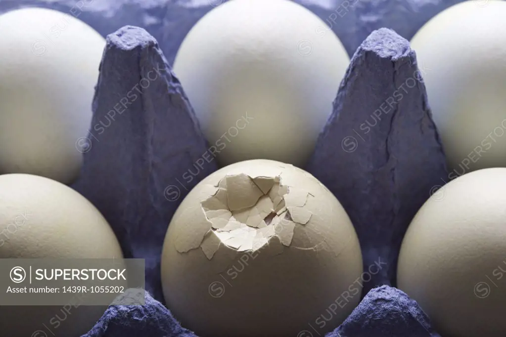 Smashed egg with other eggs in carton