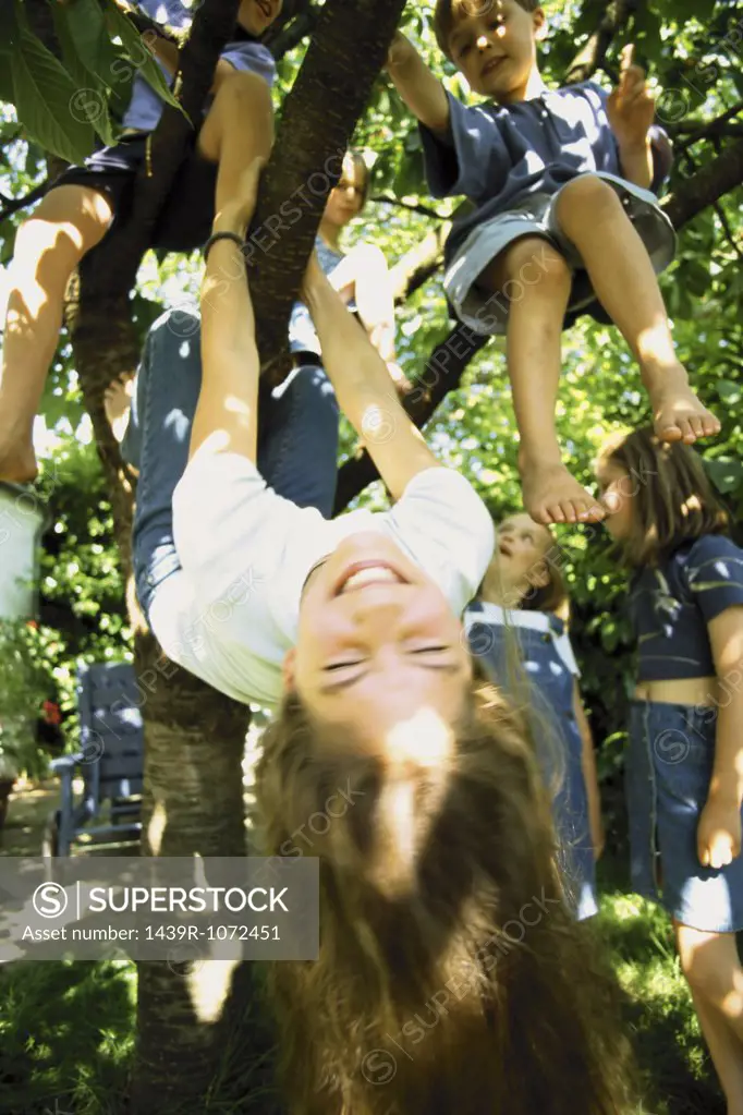 Kids playing in tree