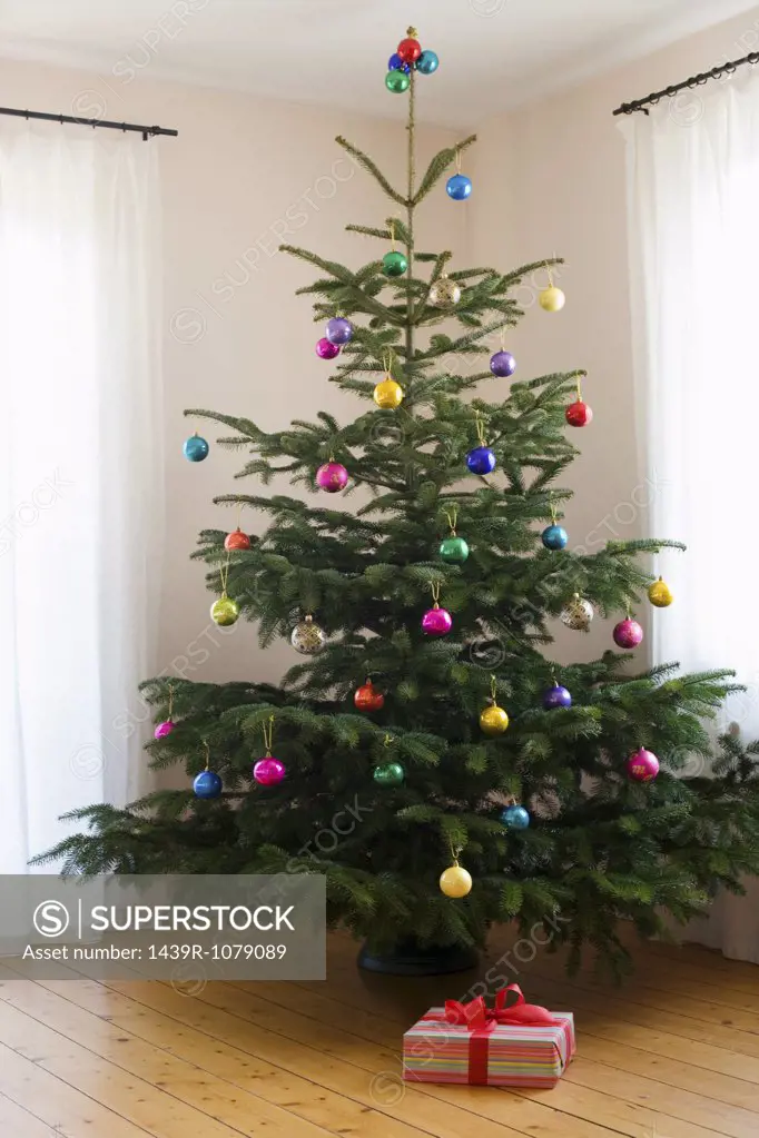 A christmas present under a christmas tree
