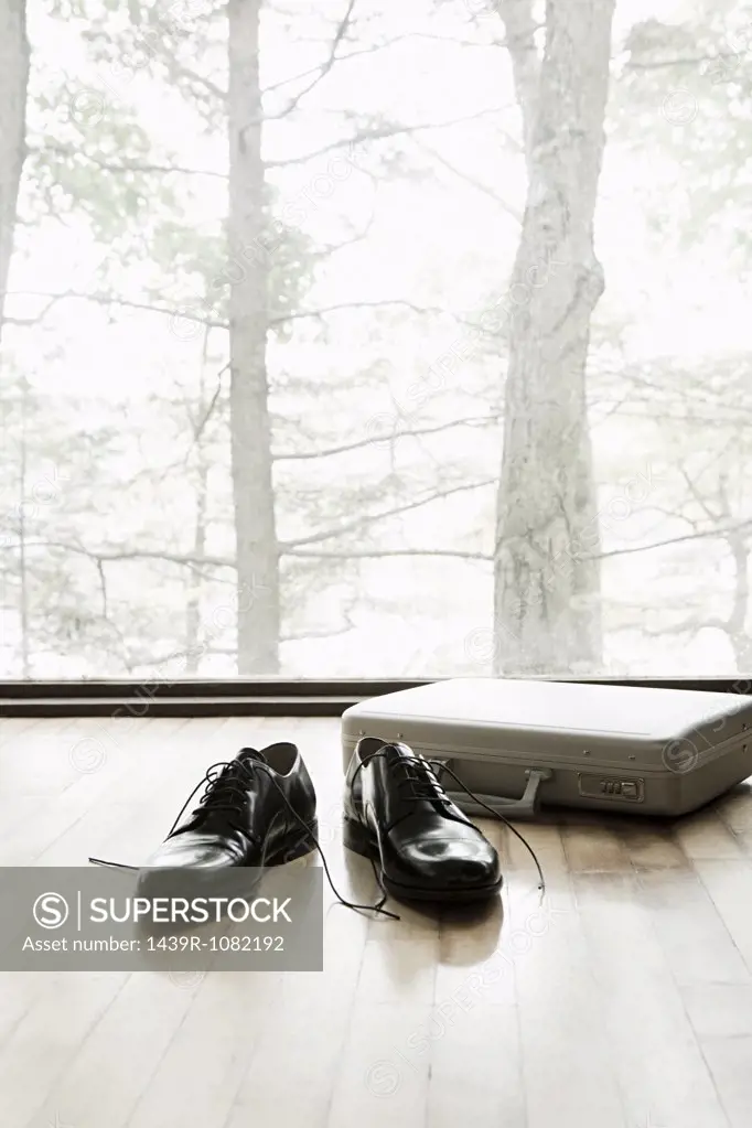 Shoes and a briefcase on a wooden floor