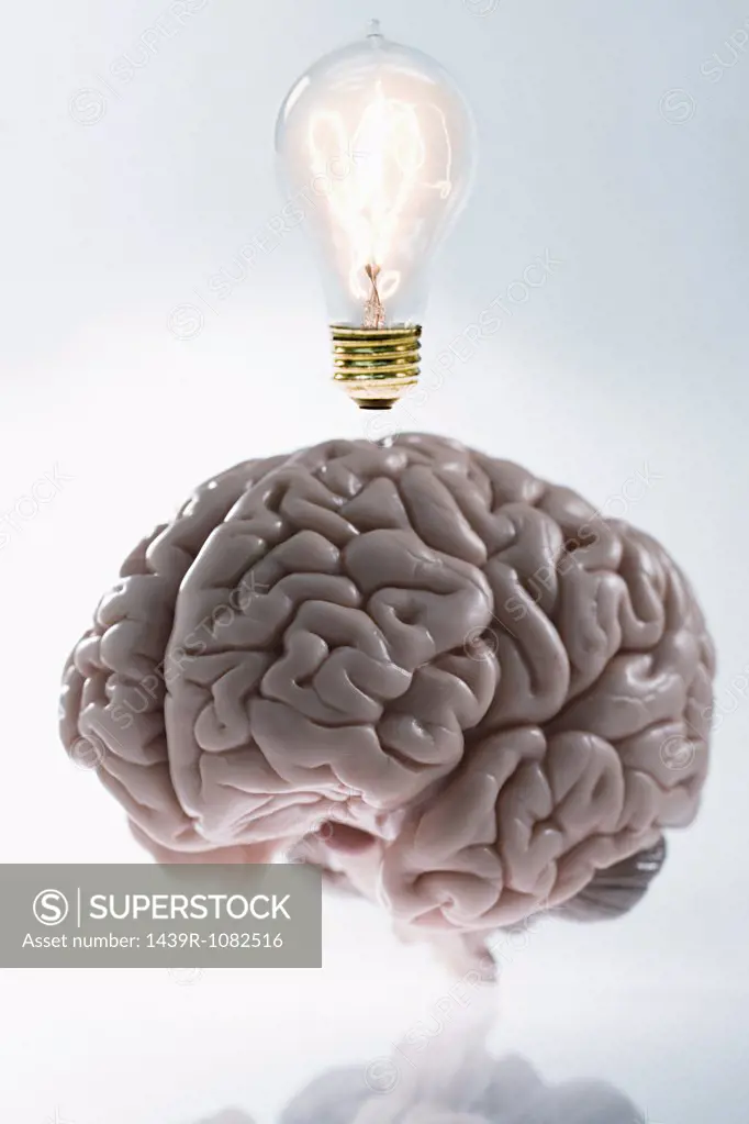 A brain having an idea