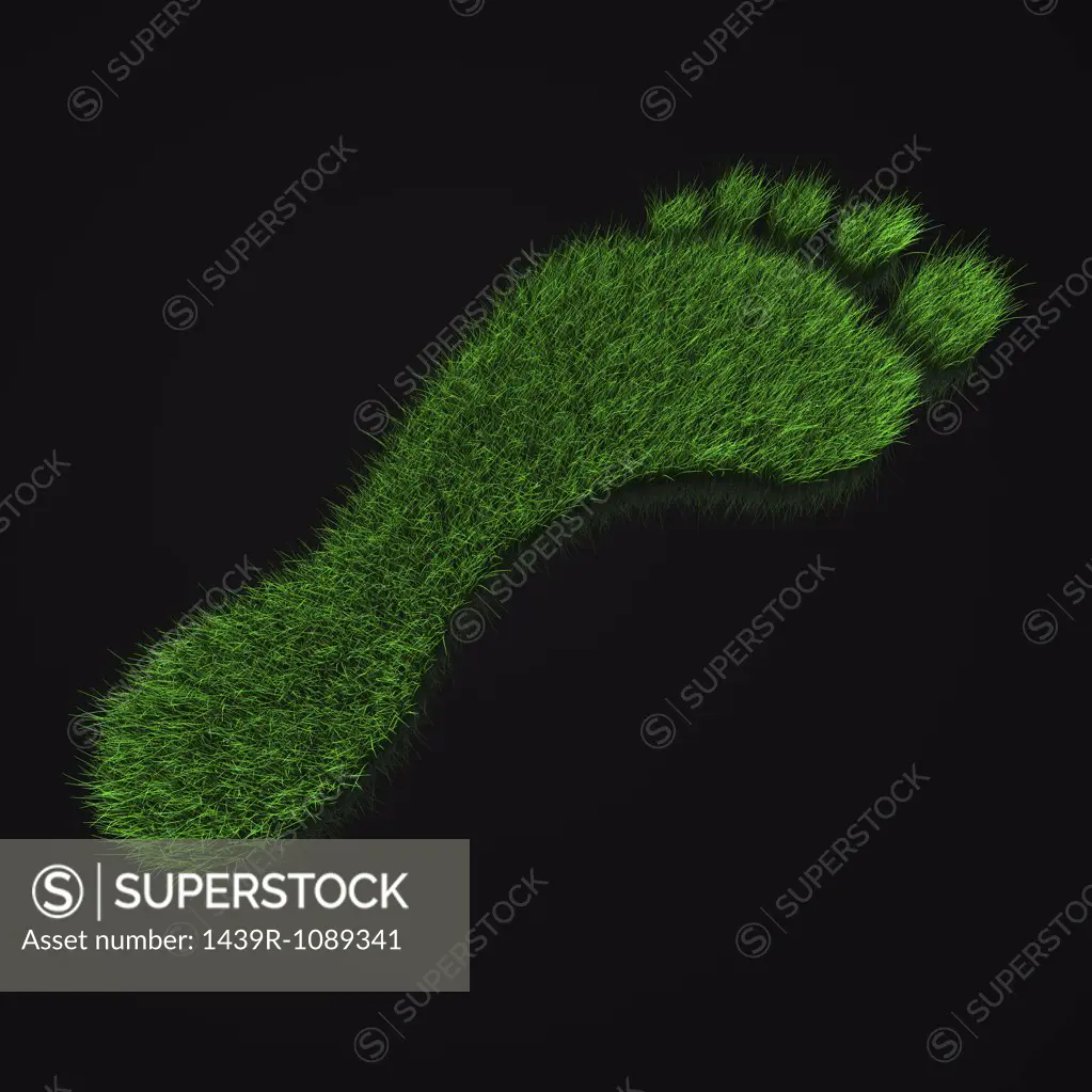 Grassy footprint