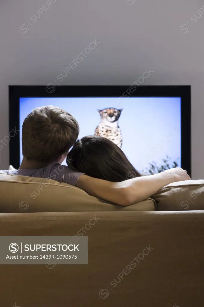 Rear view of a couple watching tv