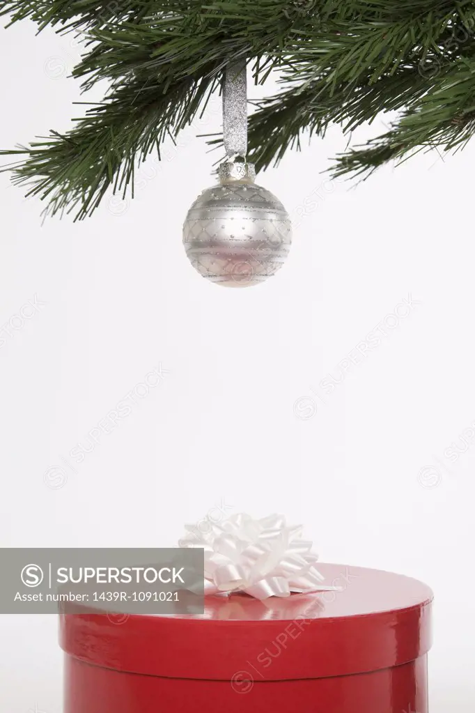 A christmas present under a christmas tree