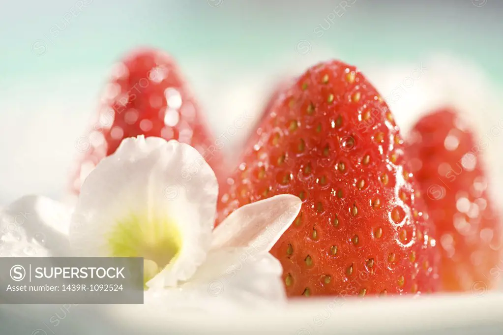 Strawberries and flower
