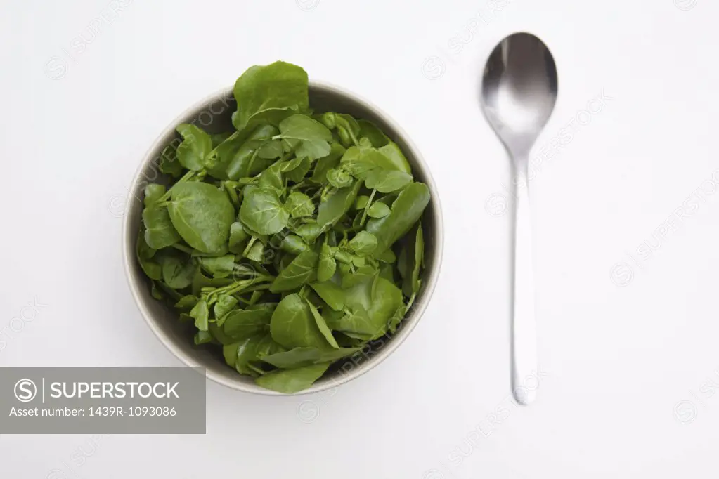 Bowl of spinach and watercress and a spoon