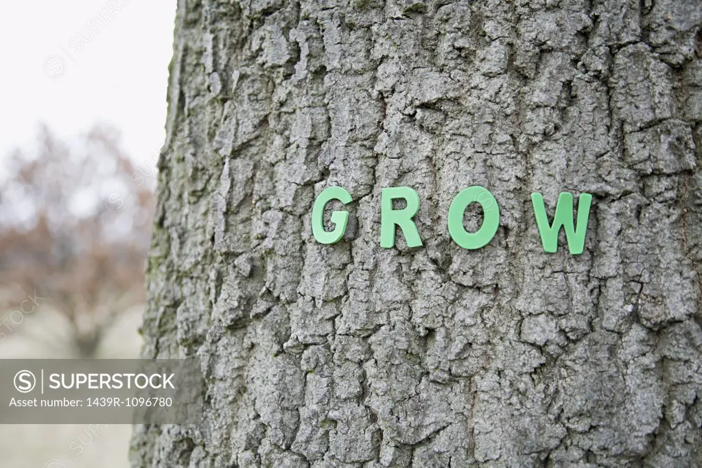 Grow letters on a tree trunk
