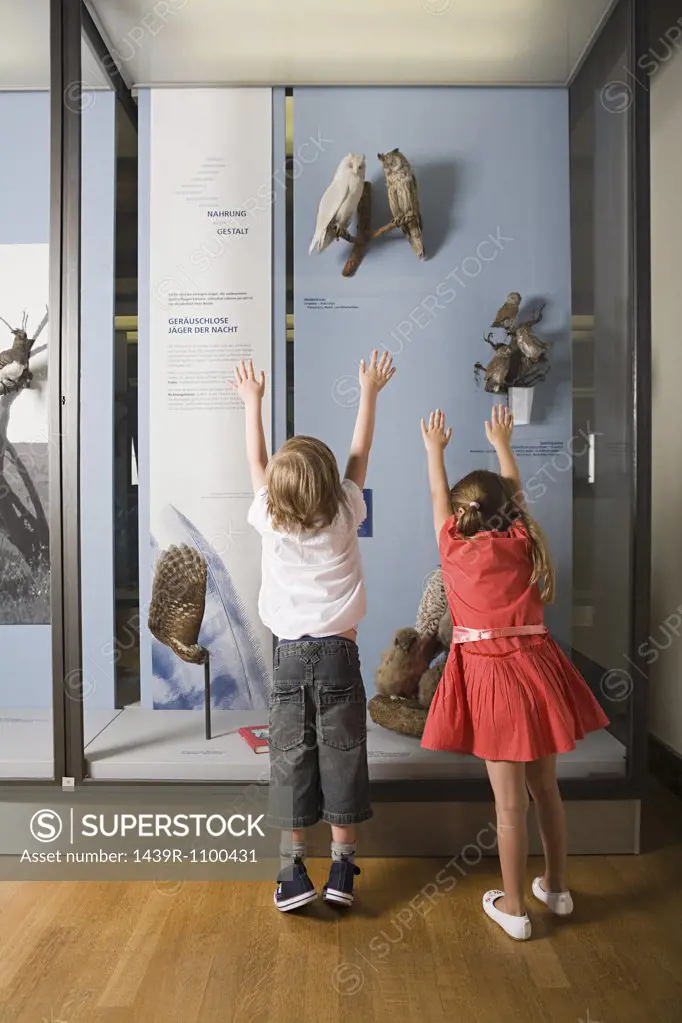Children looking at a museum exhibit
