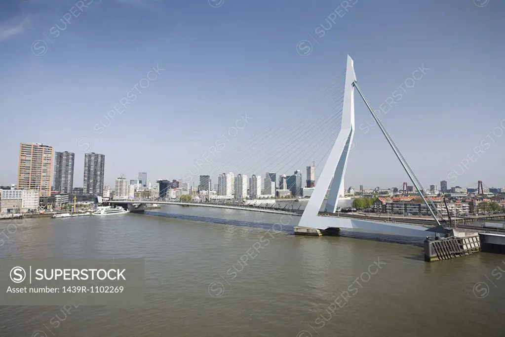 Erasmus bridge rotterdam