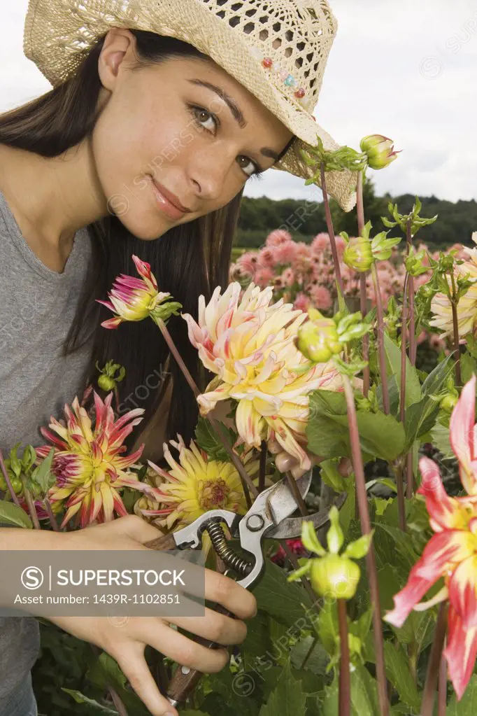 Young woman cutting flowers