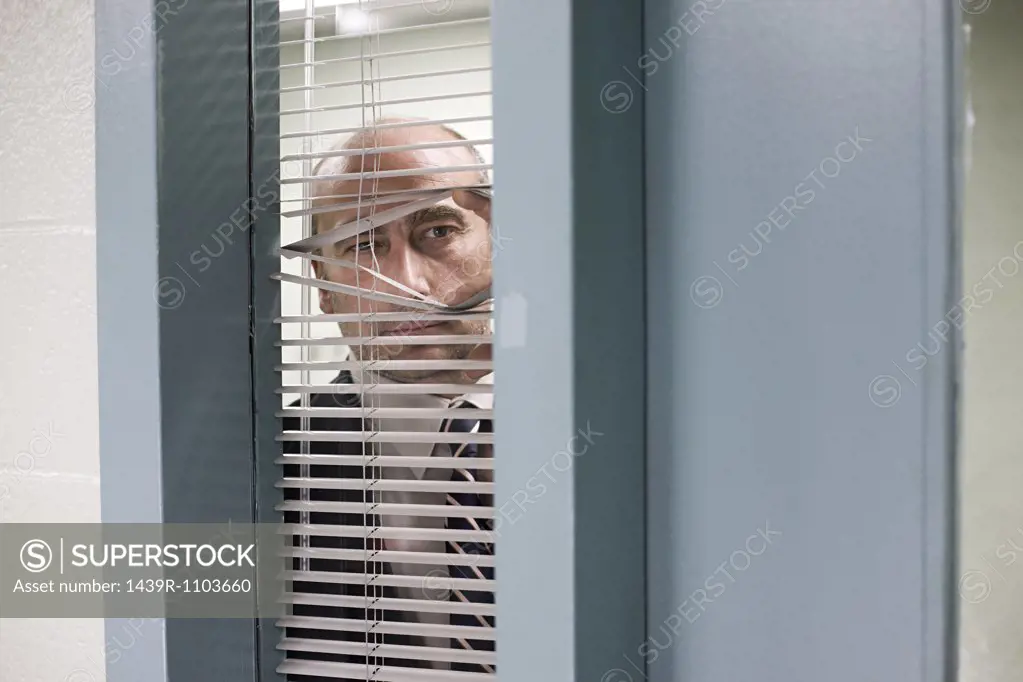 Detective looking through blinds