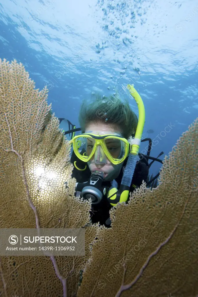Diver framed by sea fan.