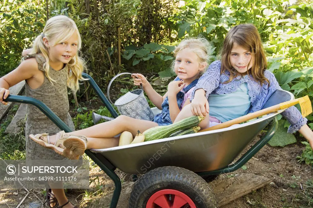 Girls in a wheelbarrow